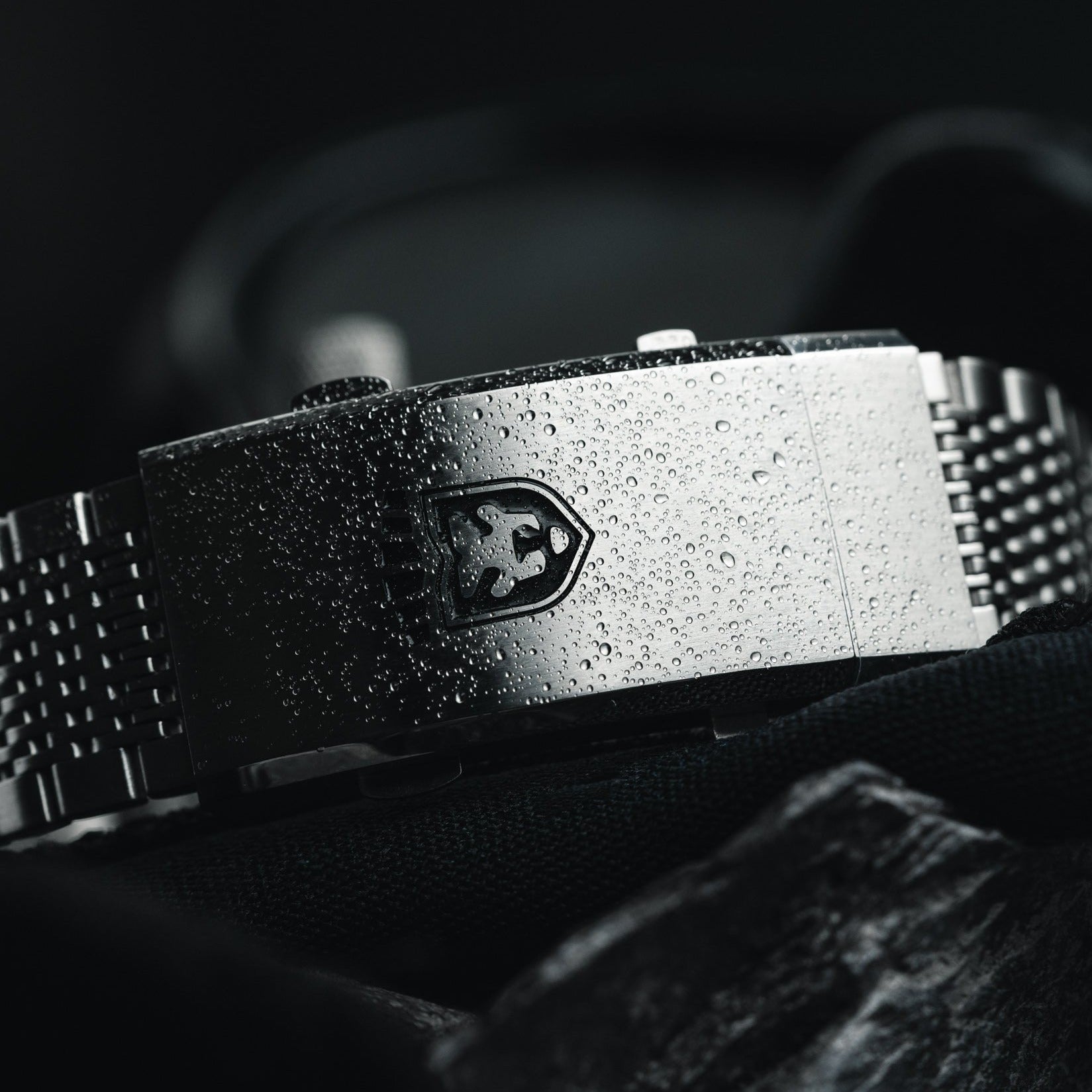 Heinrich Taucher 2 chiusura diver extension acciaio
