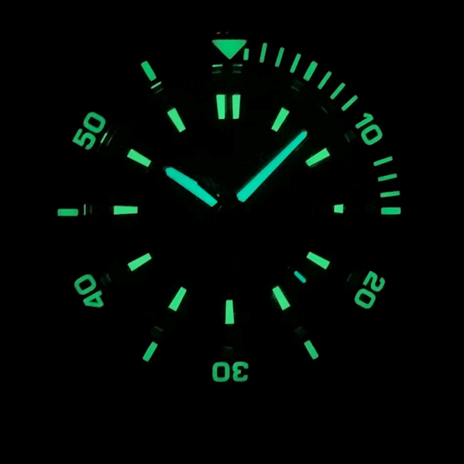 LeJour Coral Diver LJ-CD-004 orologio automatico verde