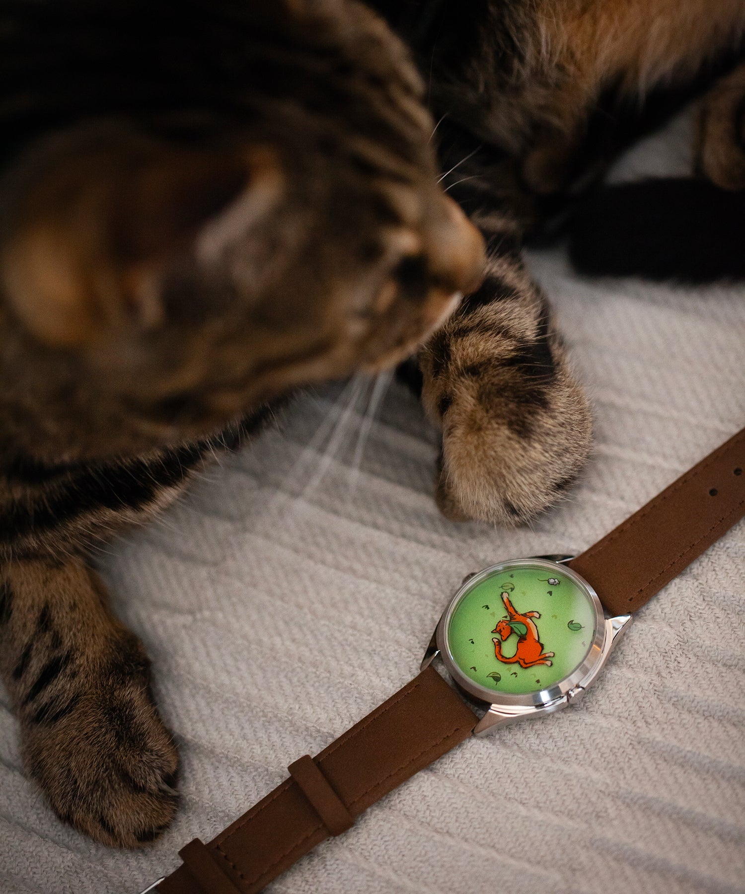 Mr Jones Mispoes! orologio quarzo gatto e topo 37mm