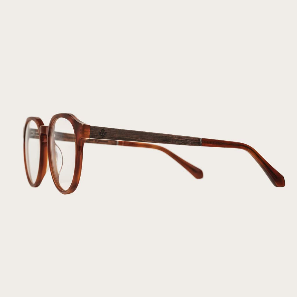 Woodwatch Reveler Classic Havanas occhiali luce blu havana