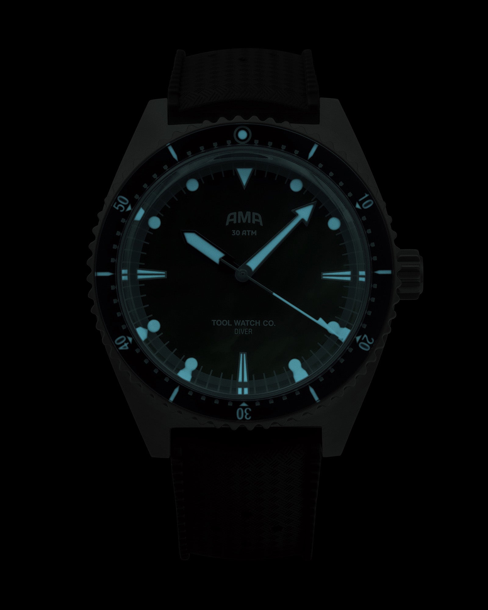 Tool Watch Co. TWCO. AMA Diver orologio subacqueo 300 m